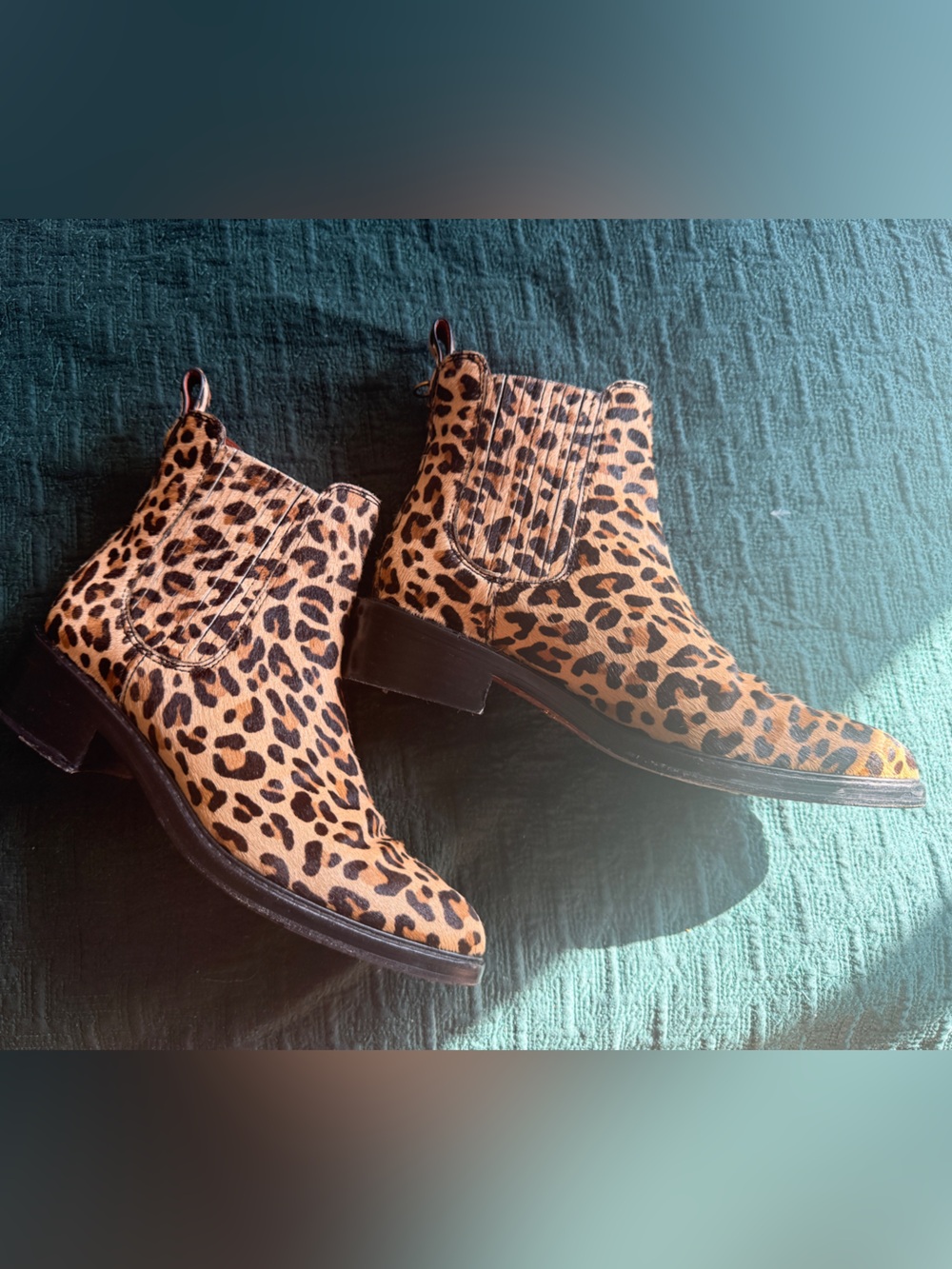 Coach Leopard Print Chelsea Ankle Boots - Tan/Black
